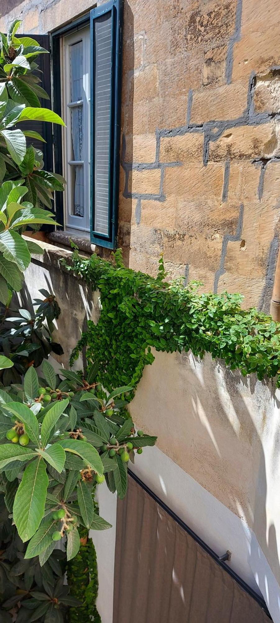 Bed and Breakfast Massa House à Lecce Chambre photo